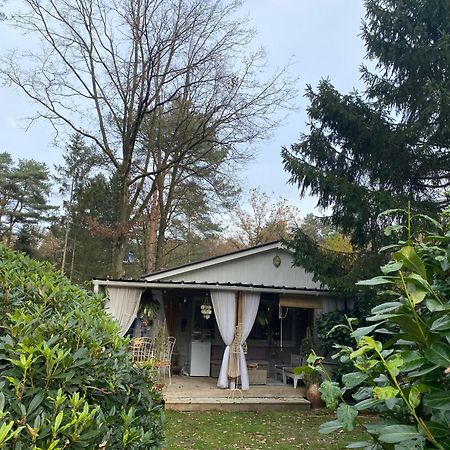 זוטנדאל Chalet Sint Barbara מראה חיצוני תמונה