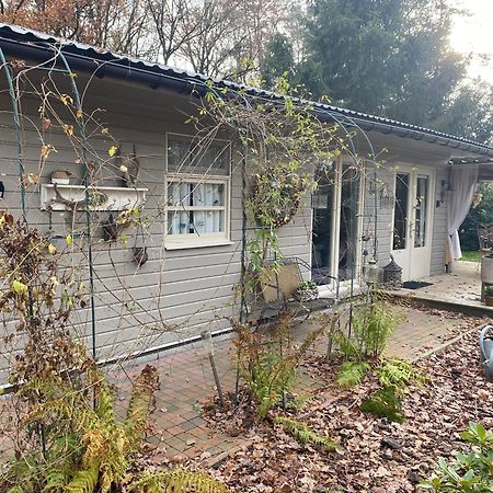 זוטנדאל Chalet Sint Barbara מראה חיצוני תמונה