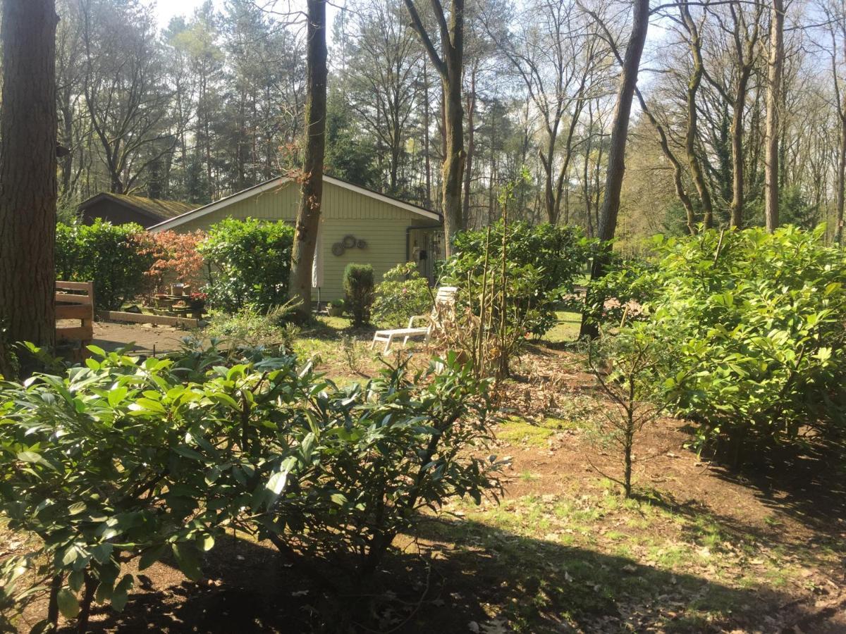 זוטנדאל Chalet Sint Barbara מראה חיצוני תמונה