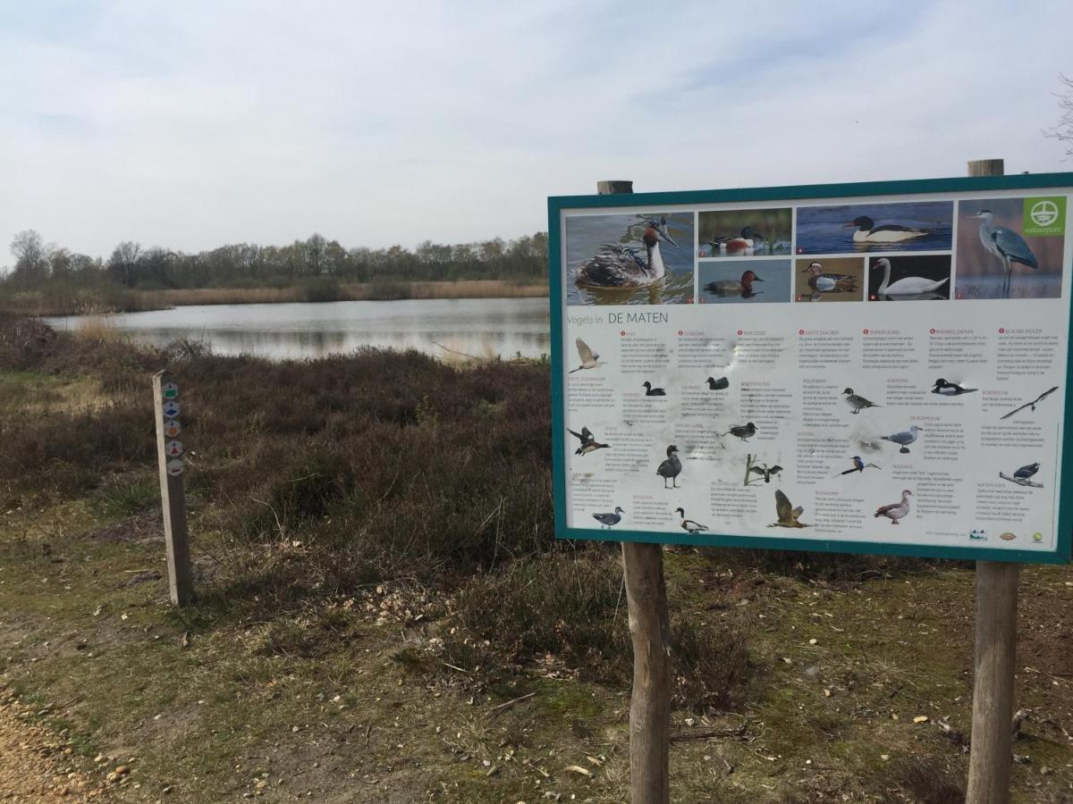 זוטנדאל Chalet Sint Barbara מראה חיצוני תמונה